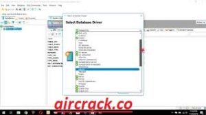 DbVisualizer 13.0.5 (64-bit) Crack